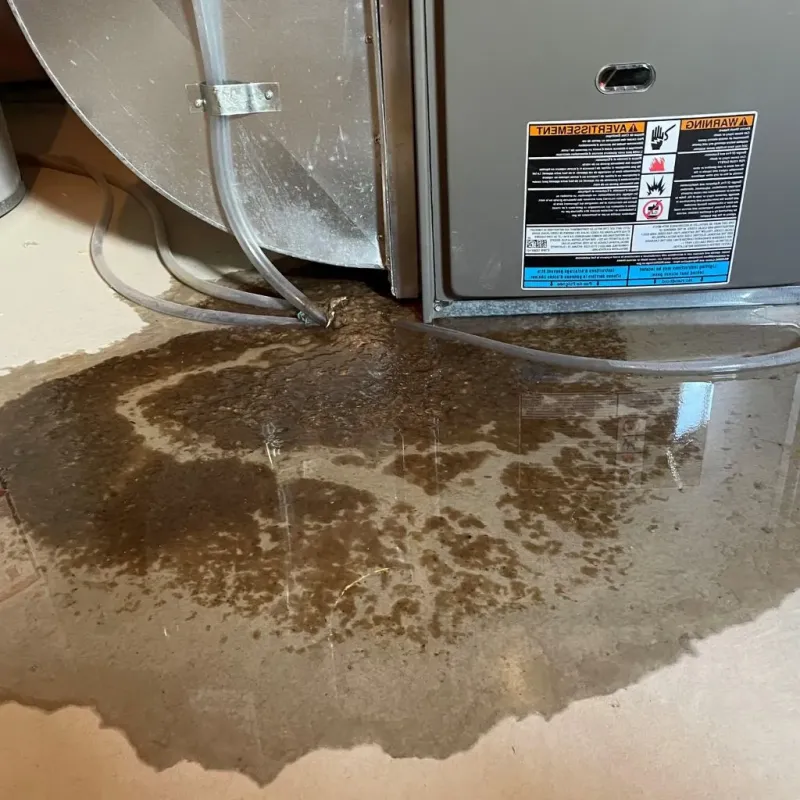 Pipe Burst and Leak Restoration in Earlville, IL